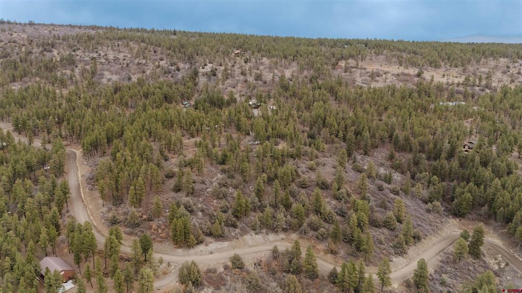 199 Starling Circle Pagosa Springs CO 81147