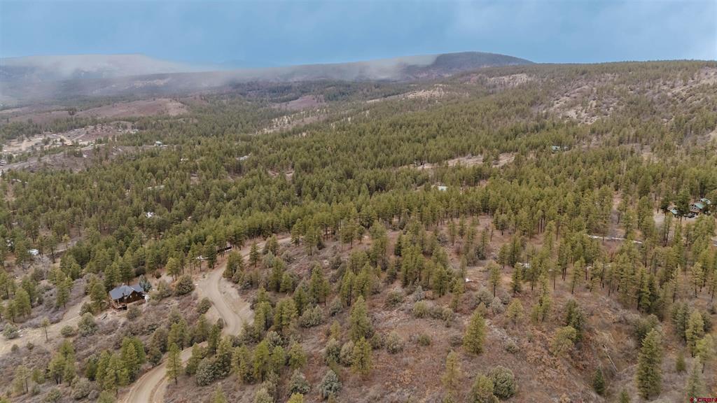 199 Starling Circle Pagosa Springs CO 81147