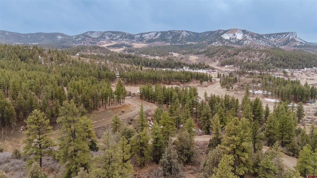 199 Starling Circle Pagosa Springs CO 81147