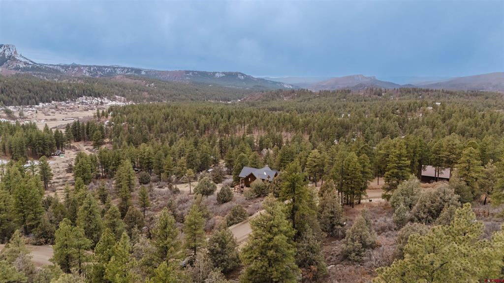 199 Starling Circle Pagosa Springs CO 81147