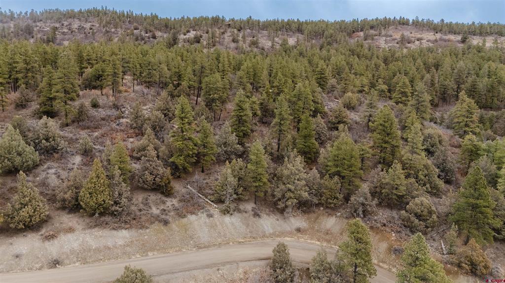 199 Starling Circle Pagosa Springs CO 81147
