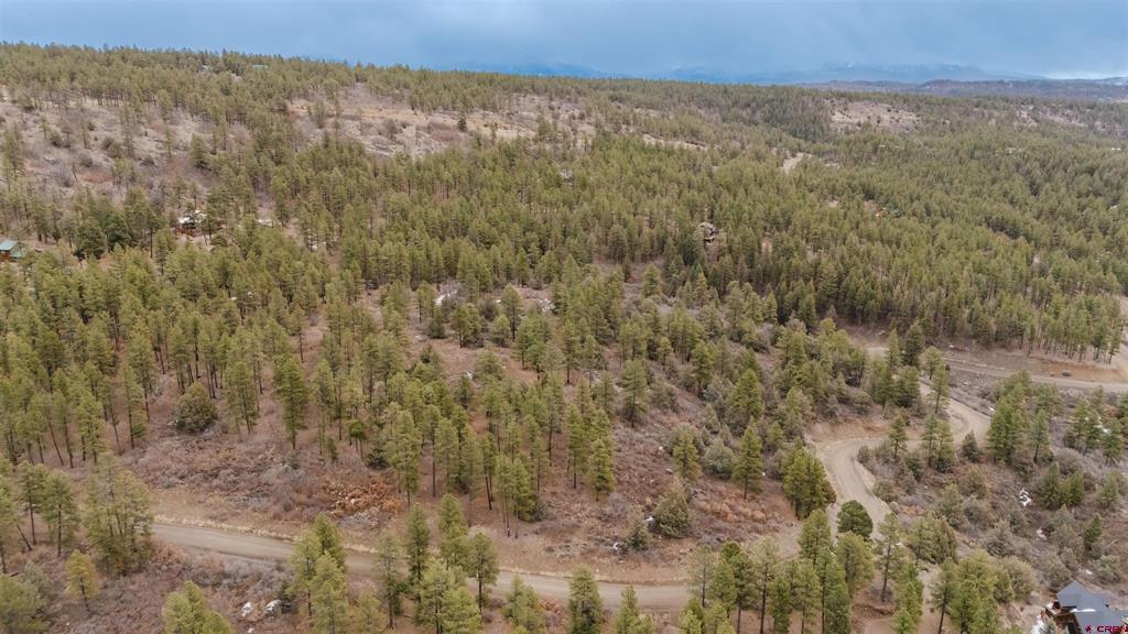 199 Starling Circle Pagosa Springs CO 81147