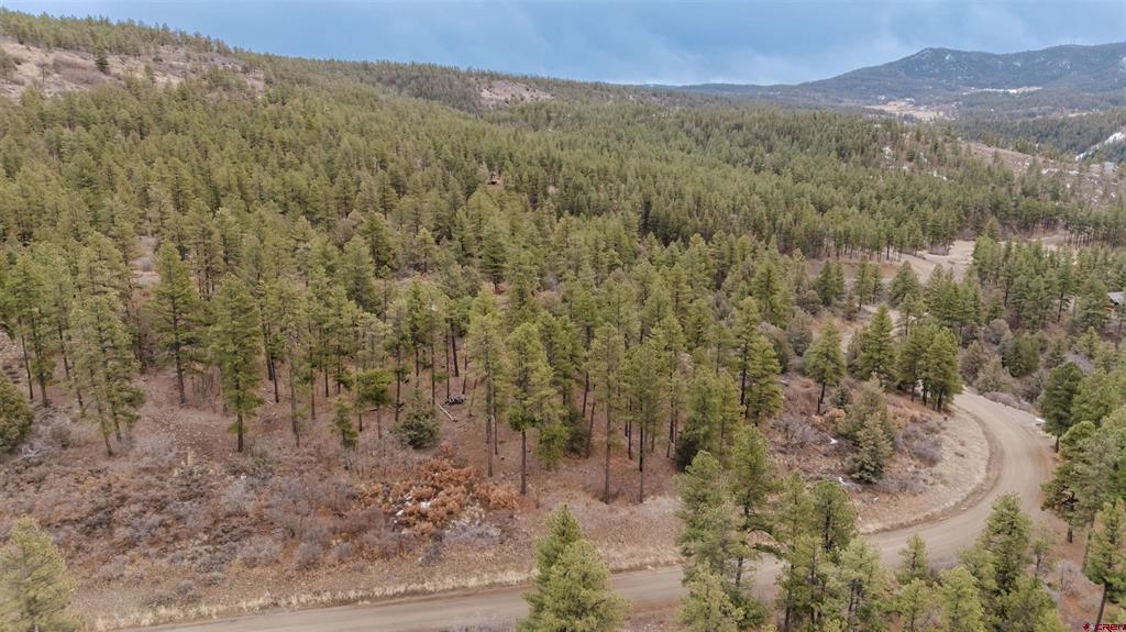 199 Starling Circle Pagosa Springs CO 81147