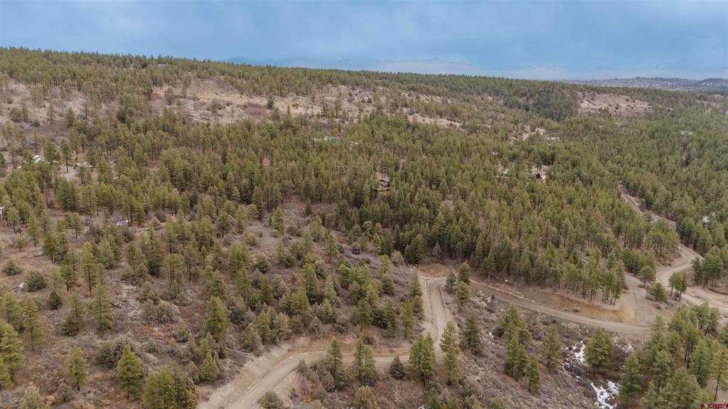 199 Starling Circle Pagosa Springs CO 81147