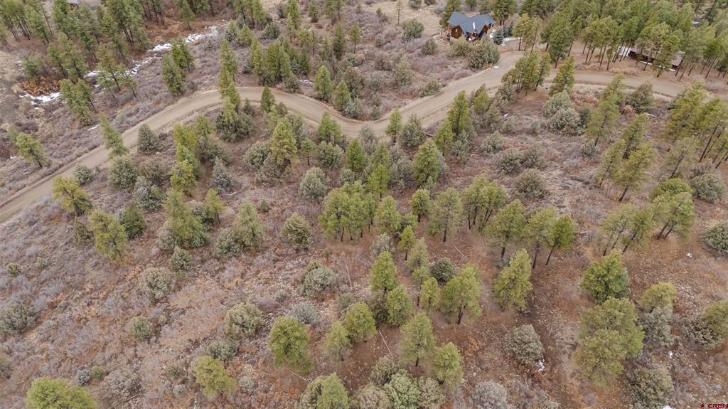 199 Starling Circle Pagosa Springs CO 81147
