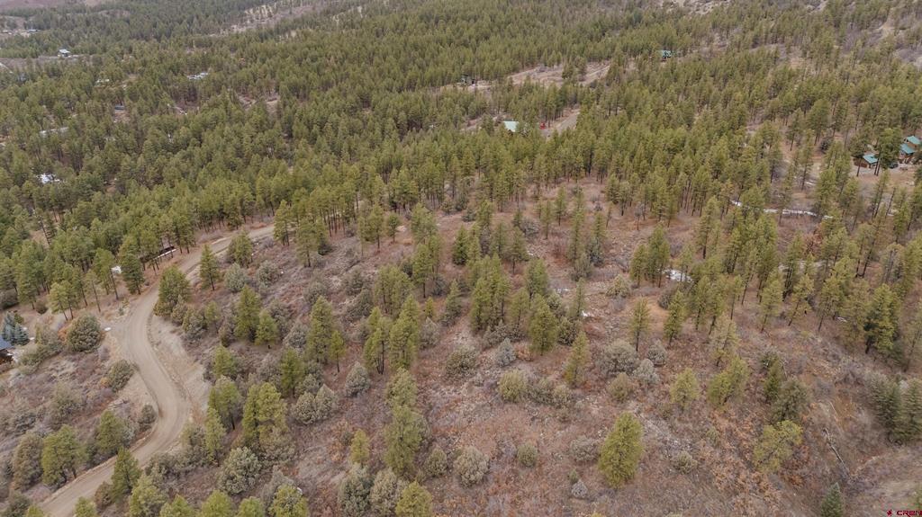 199 Starling Circle Pagosa Springs CO 81147