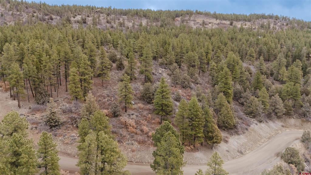 199 Starling Circle Pagosa Springs CO 81147