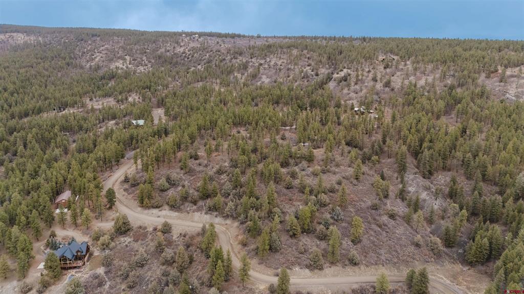 199 Starling Circle Pagosa Springs CO 81147
