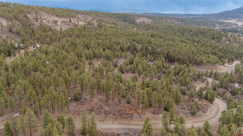 199 Starling Circle Pagosa Springs CO 81147