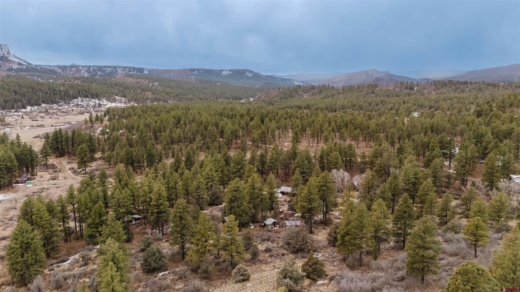 199 Starling Circle Pagosa Springs CO 81147
