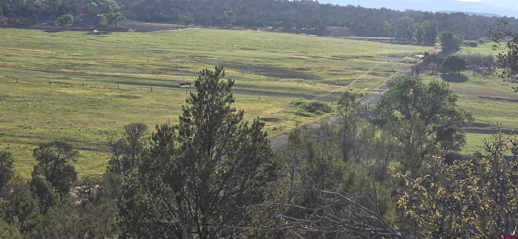 Tbd Highway 151 Ignacio CO 81137