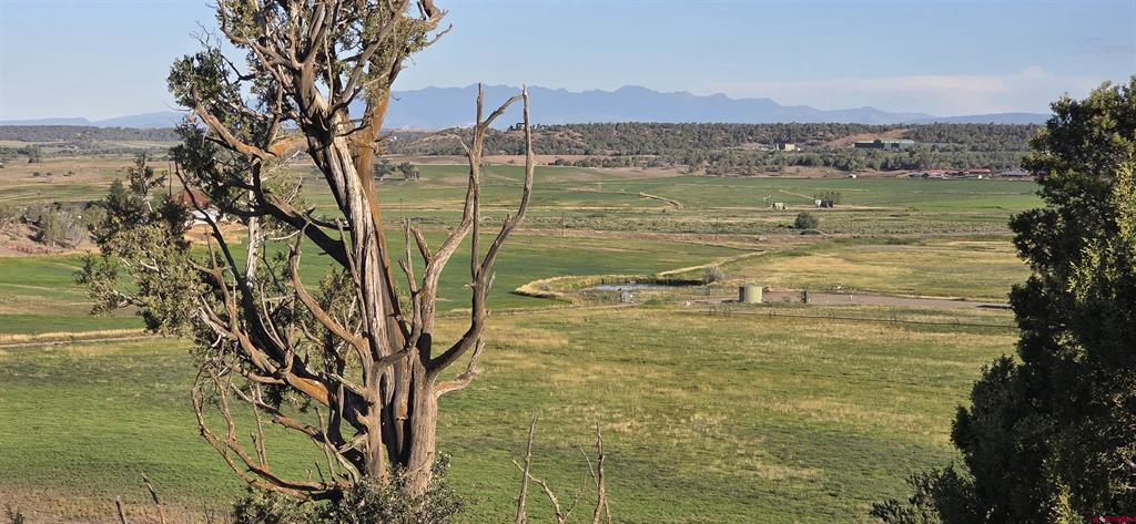 Tbd Highway 151 Ignacio CO 81137