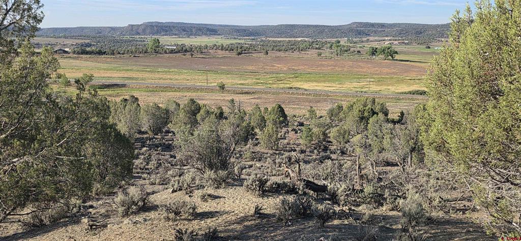 Tbd Highway 151 Ignacio CO 81137