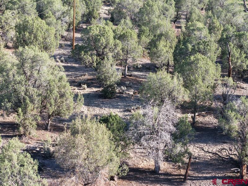 Tbd Highway 151 Ignacio CO 81137