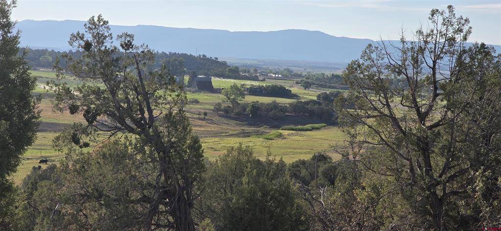 Tbd Highway 151 Ignacio CO 81137