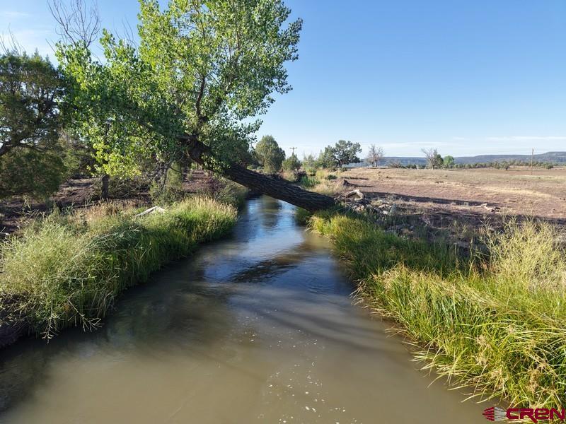 Tbd Highway 151 Ignacio CO 81137