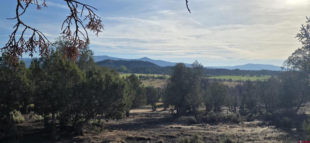 Tbd Highway 151 Ignacio CO 81137