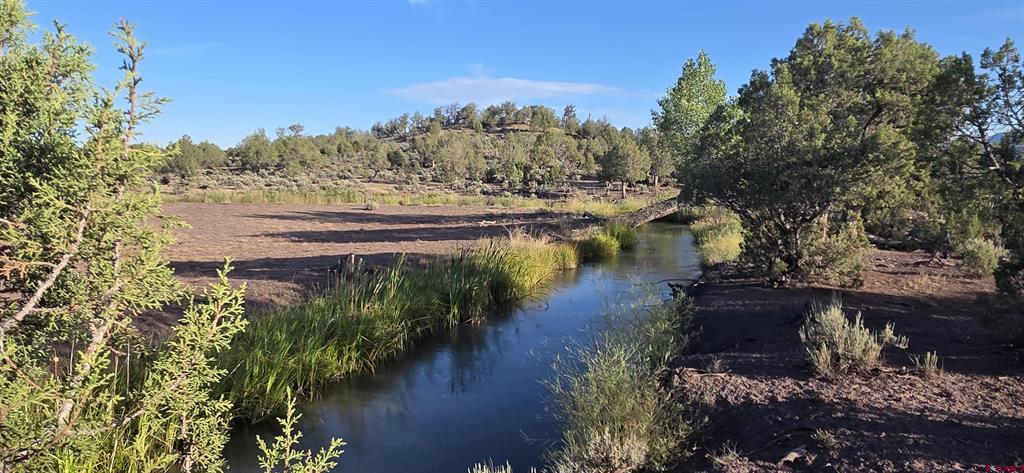 Tbd Highway 151 Ignacio CO 81137