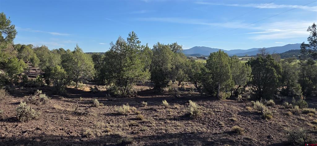 Tbd Highway 151 Ignacio CO 81137