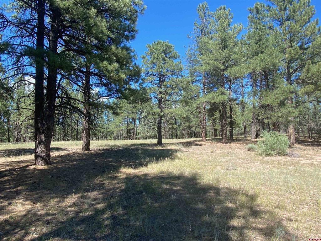 X Rumbaugh Road Pagosa Springs CO 81147