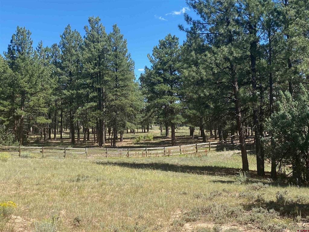 X Rumbaugh Road Pagosa Springs CO 81147