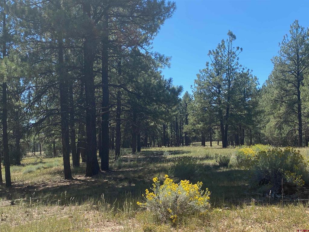 X Rumbaugh Road Pagosa Springs CO 81147