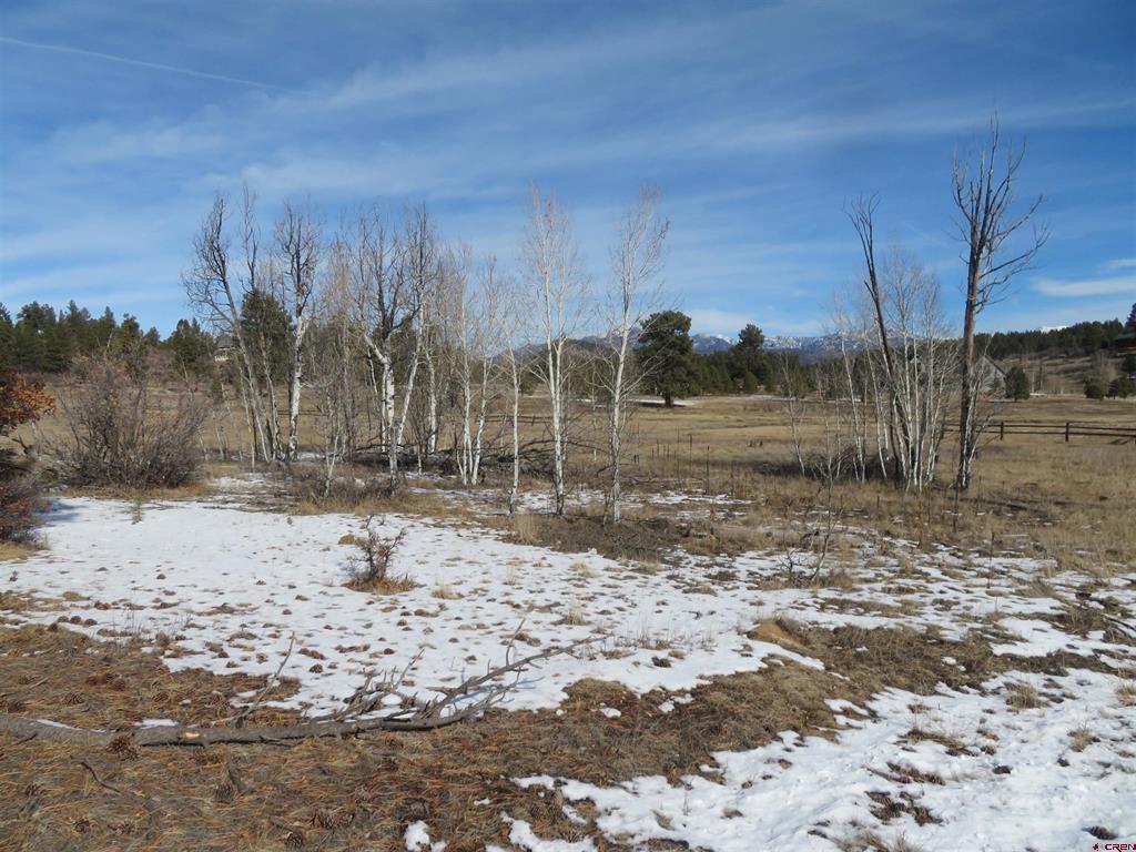 4999 North Pagosa Boulevard Pagosa Springs CO 81147