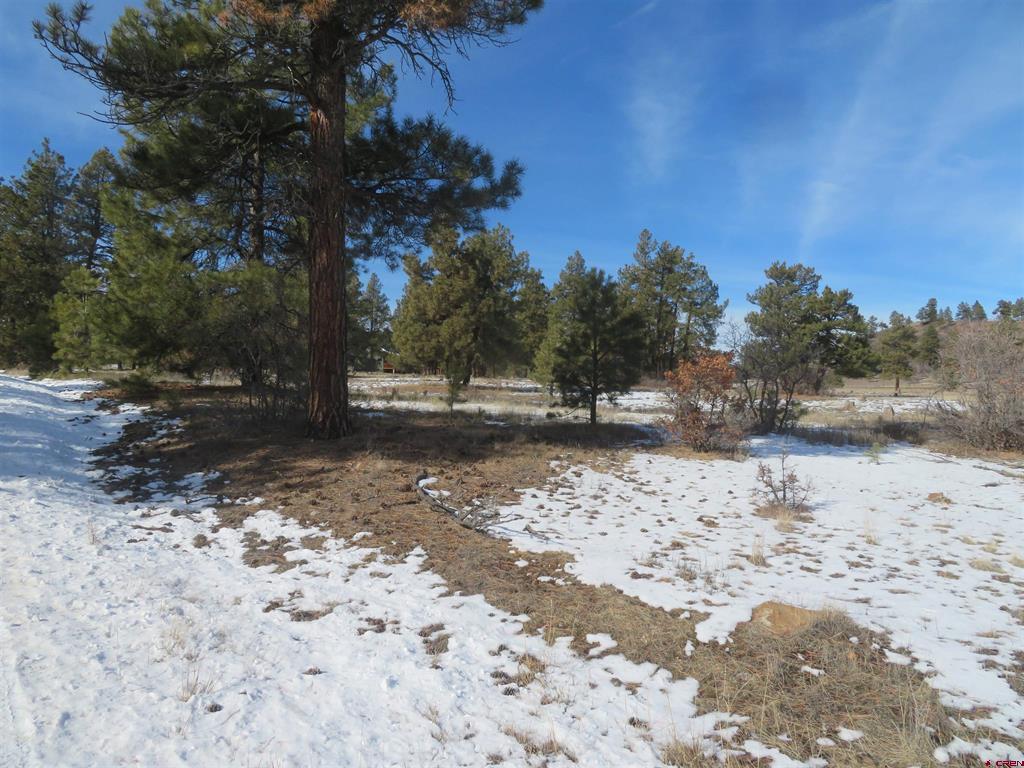 4999 North Pagosa Boulevard Pagosa Springs CO 81147
