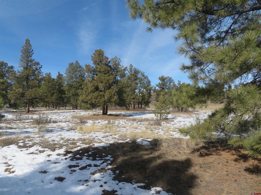 4999 North Pagosa Boulevard Pagosa Springs CO 81147