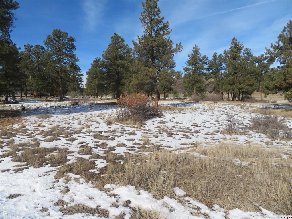4999 North Pagosa Boulevard Pagosa Springs CO 81147