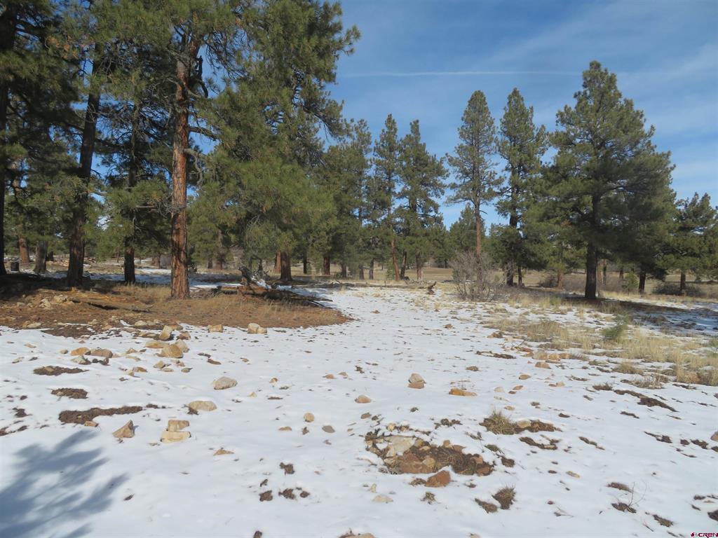 4999 North Pagosa Boulevard Pagosa Springs CO 81147