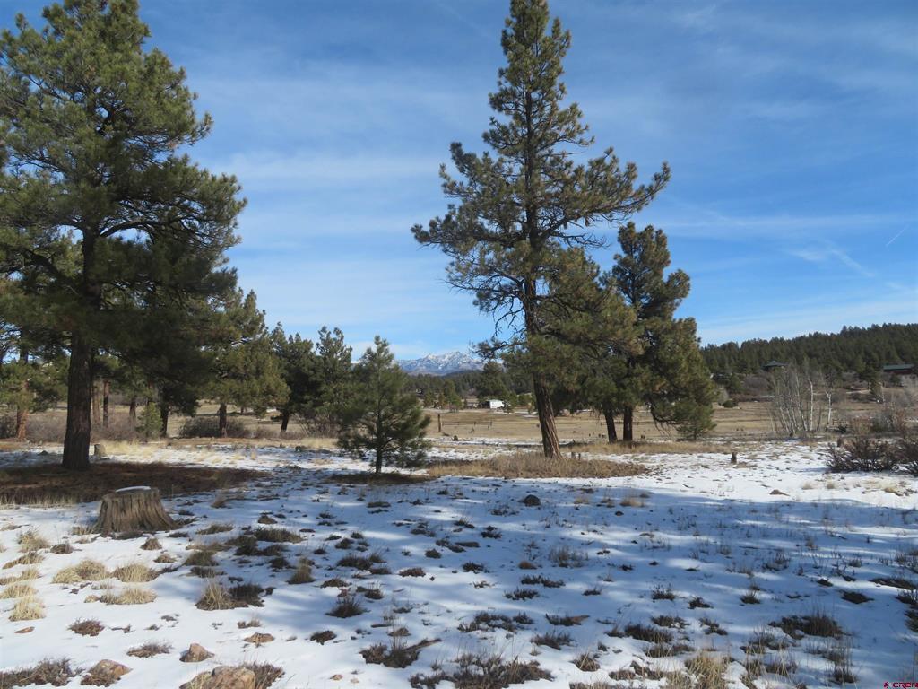 4999 North Pagosa Boulevard Pagosa Springs CO 81147
