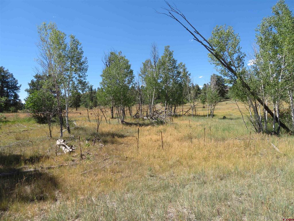 4999 North Pagosa Boulevard Pagosa Springs CO 81147