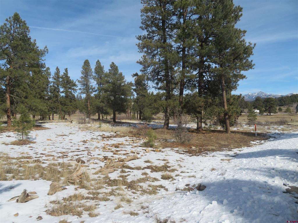 4999 North Pagosa Boulevard Pagosa Springs CO 81147