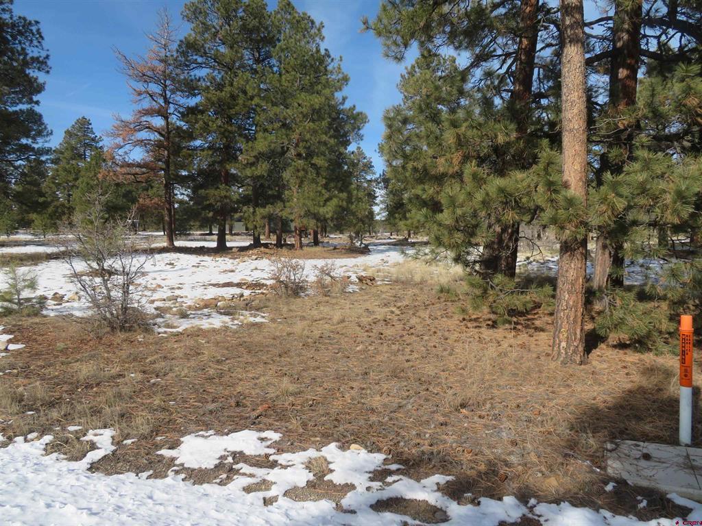 4999 North Pagosa Boulevard Pagosa Springs CO 81147