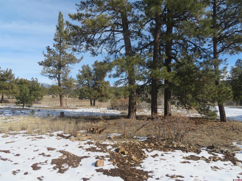 4999 North Pagosa Boulevard Pagosa Springs CO 81147