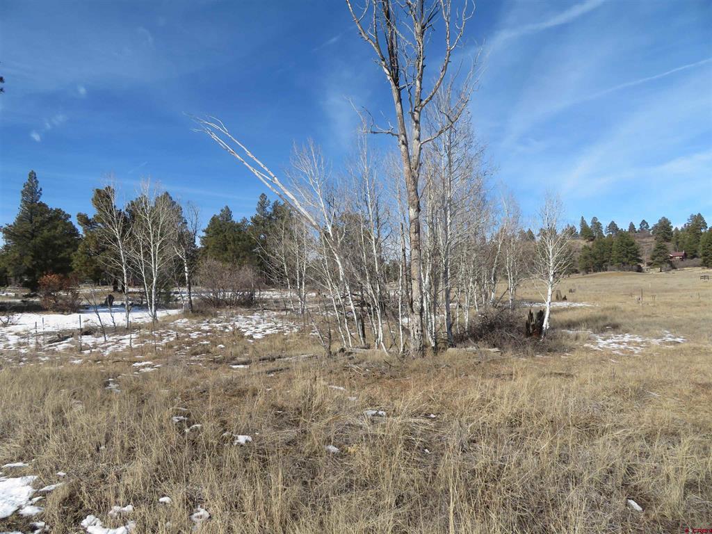 4999 North Pagosa Boulevard Pagosa Springs CO 81147