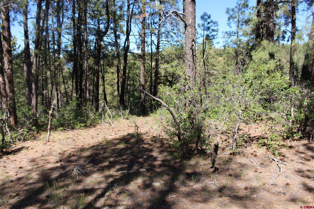 1260 Crooked Road Pagosa Springs CO 81147