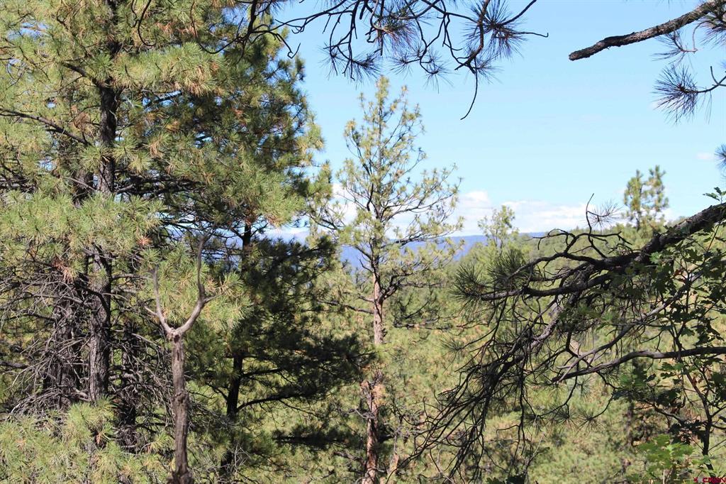 1260 Crooked Road Pagosa Springs CO 81147