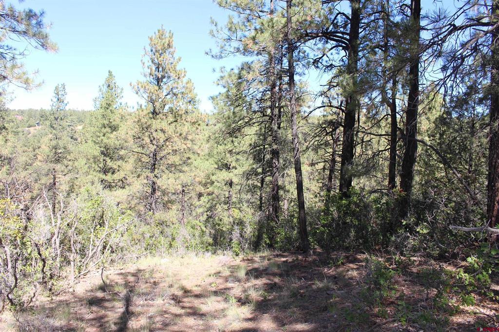 1260 Crooked Road Pagosa Springs CO 81147