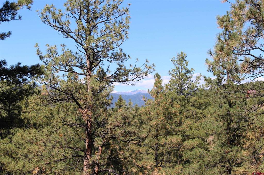 1260 Crooked Road Pagosa Springs CO 81147