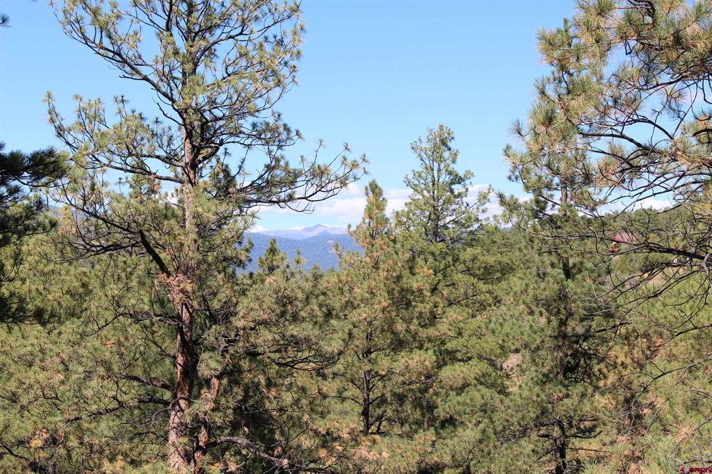 1260 Crooked Road Pagosa Springs CO 81147