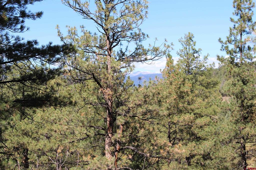 1260 Crooked Road Pagosa Springs CO 81147