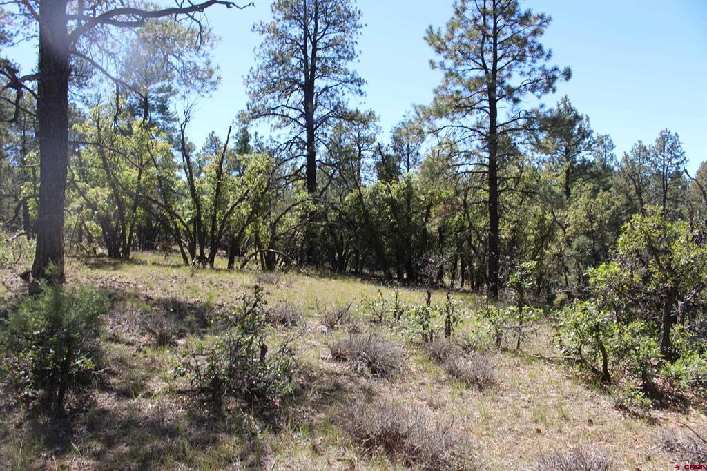 1260 Crooked Road Pagosa Springs CO 81147