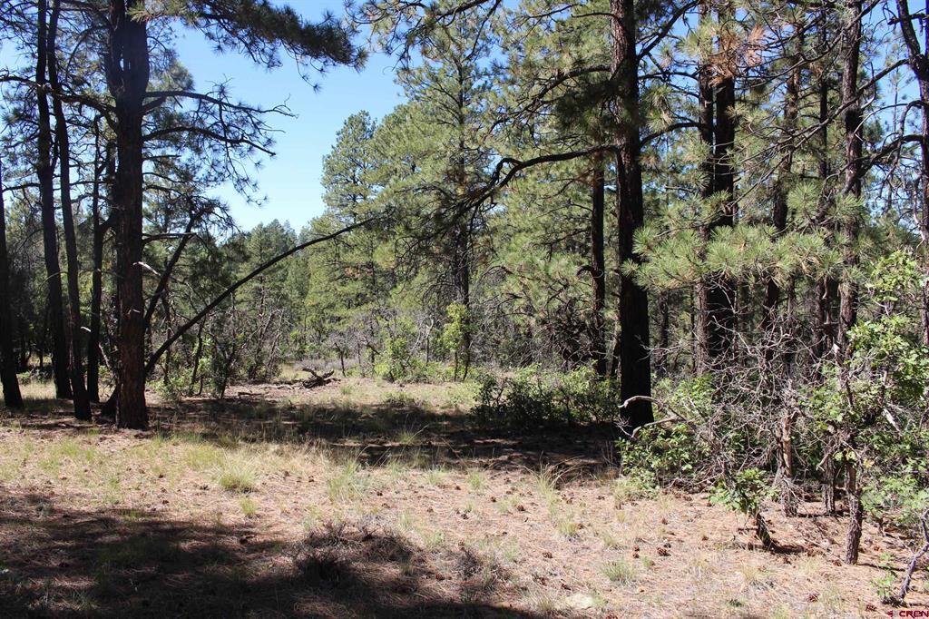 1260 Crooked Road Pagosa Springs CO 81147