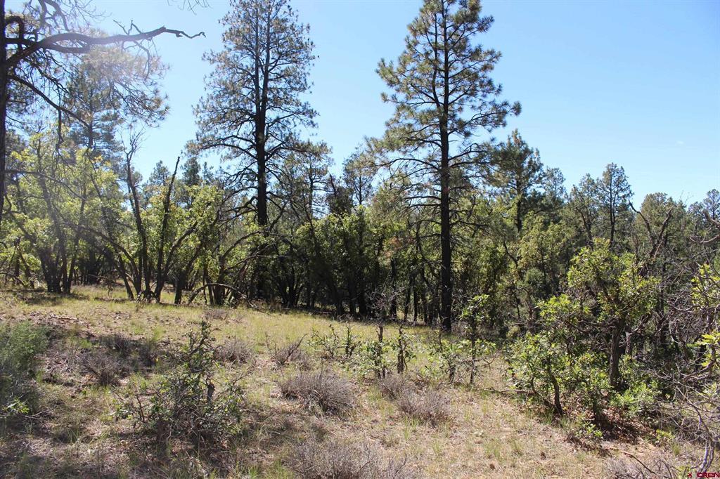 1260 Crooked Road Pagosa Springs CO 81147