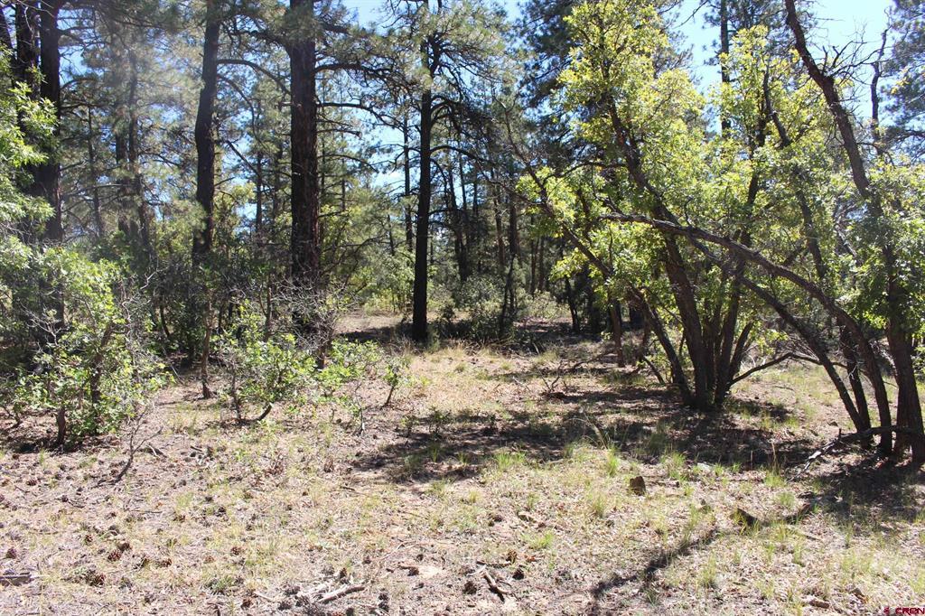 1260 Crooked Road Pagosa Springs CO 81147