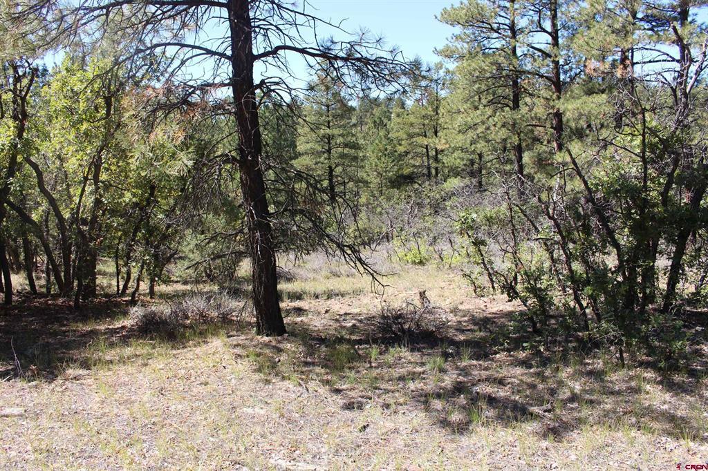 1260 Crooked Road Pagosa Springs CO 81147