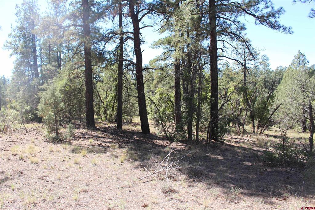 1260 Crooked Road Pagosa Springs CO 81147