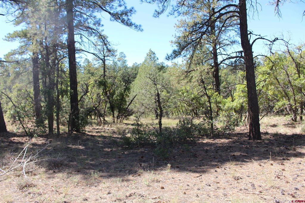 1260 Crooked Road Pagosa Springs CO 81147